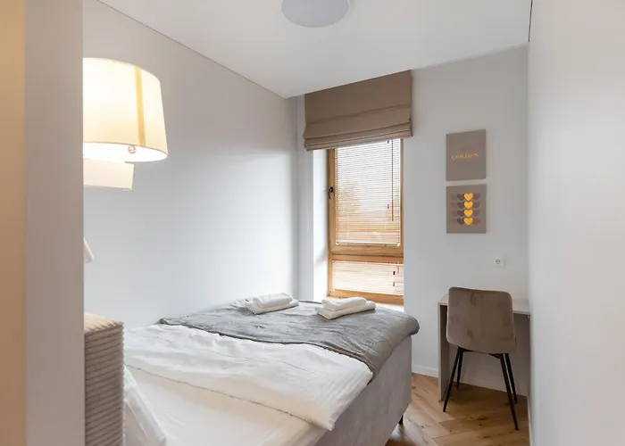 Stylish Simplicity - 1bdr Cozy In Apartmán Vilnius